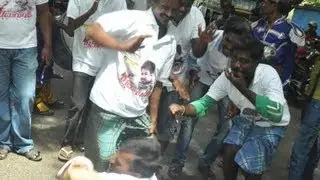 Vijay Fans Celebrated Thalaivaa First Day First Show in all over Tamil Nadu | Public Review