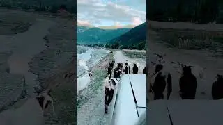 Gabral road after flood 😱Beautiful mountain view 😍✈️❤️ #trending #viral #travel #shorts #swat