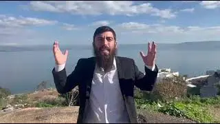 הלימוד לחיים ממכת הצפרדעים - ר' יוסי קוק בחיזוק לפרשת וארא מאביו הרב דב קוק שליט
