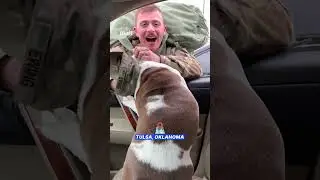 Soldier has surprise reunion with dog bestie