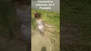 testand provando que tem  tucunar&eacute; no balneario de Presidente  prudente