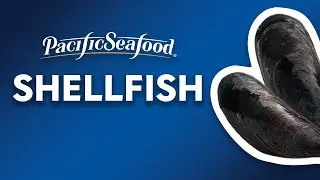 How Shellfish are Sustainably Produced | Full Documentary