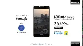 Panasonic Ray X | 400 mAh Battery | BGR