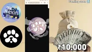 Paws Activity check task Complete | Paw new task today | Paws Airdrop new update today