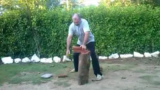 Chi Kung Iron Palm - Bak Siu Lum Qi Gong