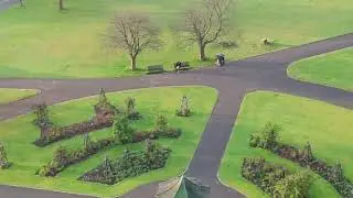 Tollcross park