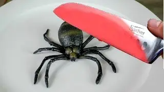 HOT KNIFE VS SPIDER!!  Whats Inside?? Cutting open SQUISHY ANIMALS!