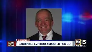 Arizona Cardinals executive VP arrested on suspicion of DUI