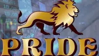 PRIDE   promo презентация системы!