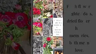 A flower lived twice&hellip;&hellip;once in color, once in memory 🌹🥀