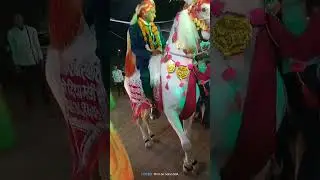 ghodi dance #ghodi #ghodidance #merriage #juluse #trending