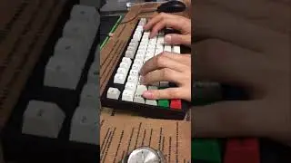 Lyn special whale custom keyboard ergo clear  typing
