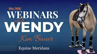 No. 166. Kim Bauer - Equine Meridans