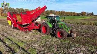 Fendt 724 met Grimme SE  260 fabrieksaardappelen rooien