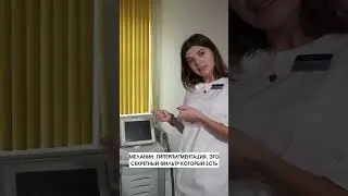 Как работает BBL и BBL Forever Young?