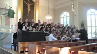 Vetelin poikakuoro Kaustisen kirkossa