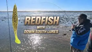 Redfish in the Cold! ZERO Water, Big Bites on Down South Lures 