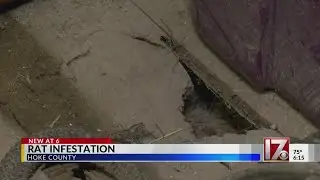 Hoke County homes dealing with rat infestation