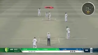 Cricket 22