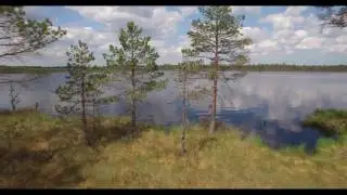 DJI Phantom 3 Pro through a small gap