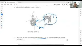 8th July Pri Science | Questions on Adaptations, Forces, Properties of Matter and Energy Pt1