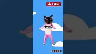 Coco the Cute and Funny Cat and the Magical Rainbow Adventure #catstory