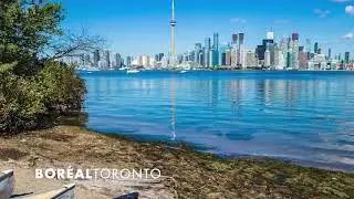 Bienvenue au Coll&egrave;ge Bor&eacute;al &agrave; Toronto !