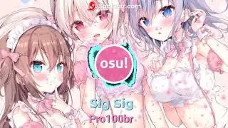 Sig Sig