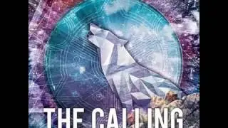 Ace ventura - Going back_(Vini Vici remix) (progressive)