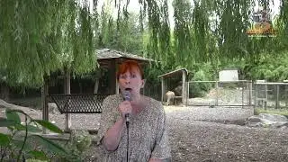 Danielle (  Cover ) chante  