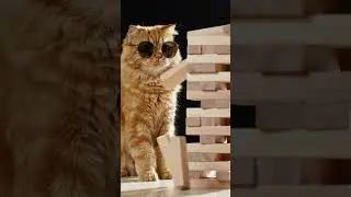 Ginger Cat DESTROYS Jenga Tower (Slow Motion Fail!) 😹