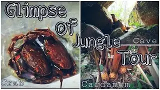 In The Middle Of The Jungle/Glimpse/ unbelievable Rock Cave, Fish, Crab hunting, Natural herbs