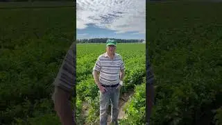 Ron Heppel has been #farming this land for 50 years   with an estimated 30 million servings per year
