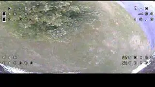 cicada 180 maiden
