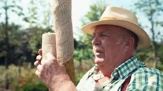 Tipp vom Profi: So setzt man einen Baum richtig