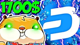 КОГДА DASH ВЫДАСТ 1700$, ТЕБЕ БУДЕТ ДОСТАТОЧНО? МЫСЛИ ПО ДЕШУ 2025 - ФЛИП