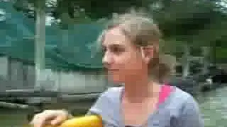 Walibi Agen 2008