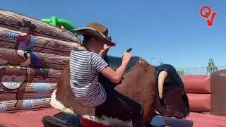 Spelkussen Rodeostier huren - Qui Vive