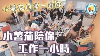 小薯茄日常一週年呈獻 《小薯茄陪我工作一小時》｜小薯茄日常 Pomato Daily