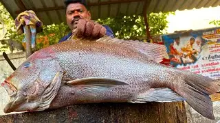 KASIMEDU SPEED SELVAM BLUEBBERLIP SNAPPER FISH 🐟 CUTTING VIDEO \ CUTTING FOCUS
