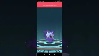 evolving shadow larvitar into pupitar|Pokemon go