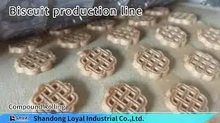 New Type Automatic Biscuit Machine production line for cookies