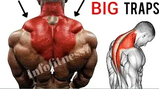 Top 6 Proven Exercises to Grow Your Trapezius Muscles