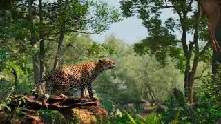 Leopard Shot Animation by Prasad Hublikar