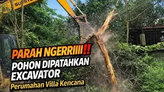 NGERRIIII‼️POHON DI PATAHKAN EXCAVATOR-PERUMAHAN VILLA KENCANA #kdm 
