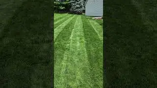 Dark Green Lawn Stripes #diylawncare #lawnlover