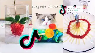 Cats make food 2022 &laquo; That Little Puff &raquo; Tiktok Compilation