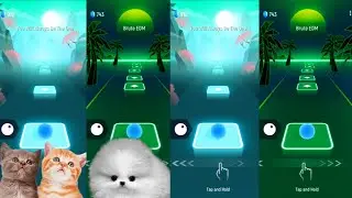 Tiles hop EDM Rush   Cute cats vs Fluffy dog on Ball Games channel