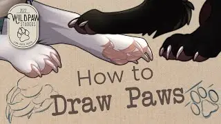 How I Draw Paws: Canine Paw Tutorial