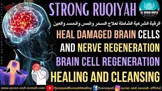 Ruqiya Dua For Heal Damaged Brain Cells & Nerve Regeneration | Healing & Cleansing Your Nerve System